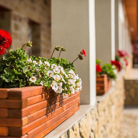 Bakony-Cinca Vendeghaz Hotel Szentgal Luaran gambar